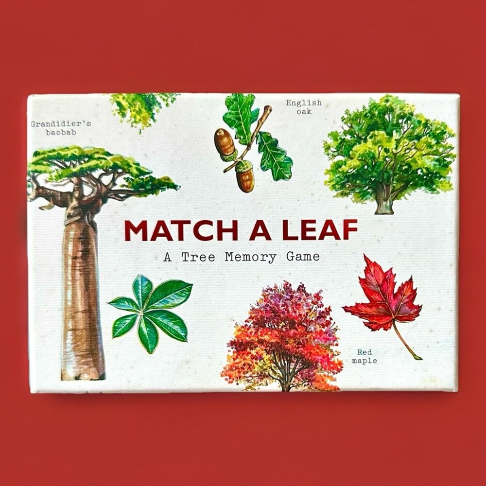 Match a Leaf A Tree Memory Game Educational  EUC